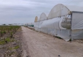 Terreny no urbanitzable en venda a la España, Sanlúcar de Barrameda, ref.: TR243178 foto
