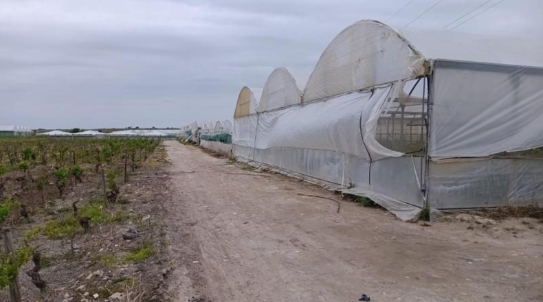 Cadiz - Sanlúcar de Barrameda - 4472m2