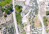 Parcel·la urbanitzable en venda a la España, Castilléjar, ref.: TR283072 foto