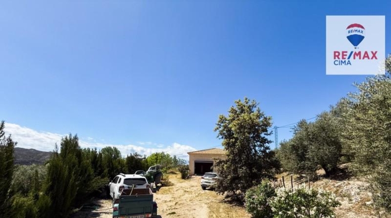 Granada - Castilléjar - 6000m2