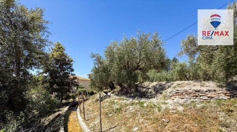 Granada - Castilléjar - 6000m2