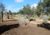 Non-developable land for sale on España, Niebla, ref: TR282175 photo