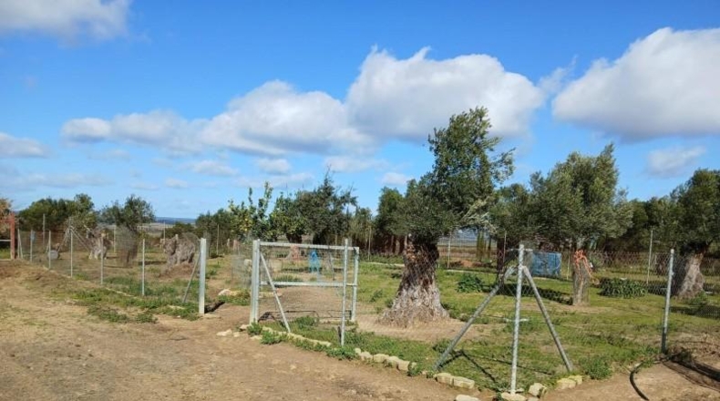 Huelva - Ньебла - 6000m2