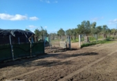 Non-developable land for sale on España, Niebla, ref: TR282175 photo