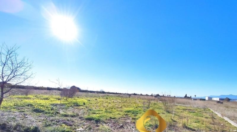 Castellón - Villarreal - 9875m2