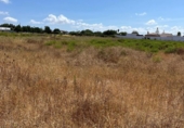 Terreny no urbanitzable en venda a la España, Chiclana de la Frontera, ref.: TR327465 foto