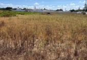 Terreny no urbanitzable en venda a la España, Chiclana de la Frontera, ref.: TR327465 foto