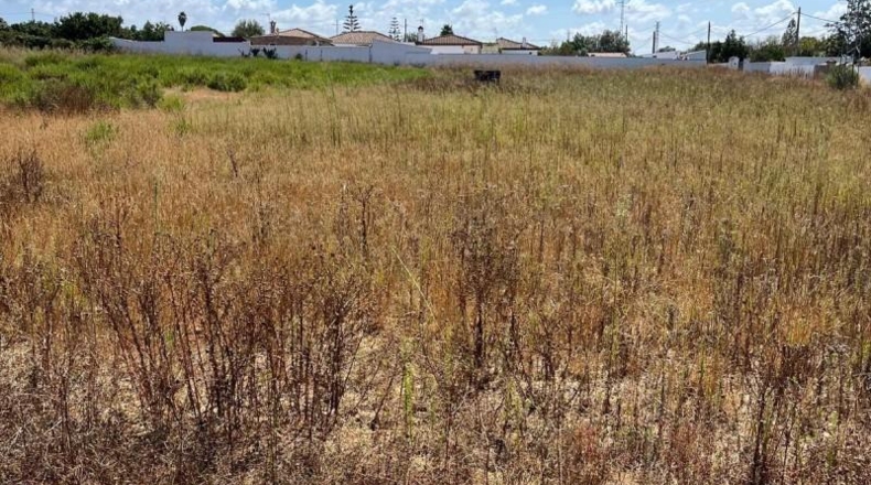 Cádiz - Chiclana de la Frontera - 3100m2
