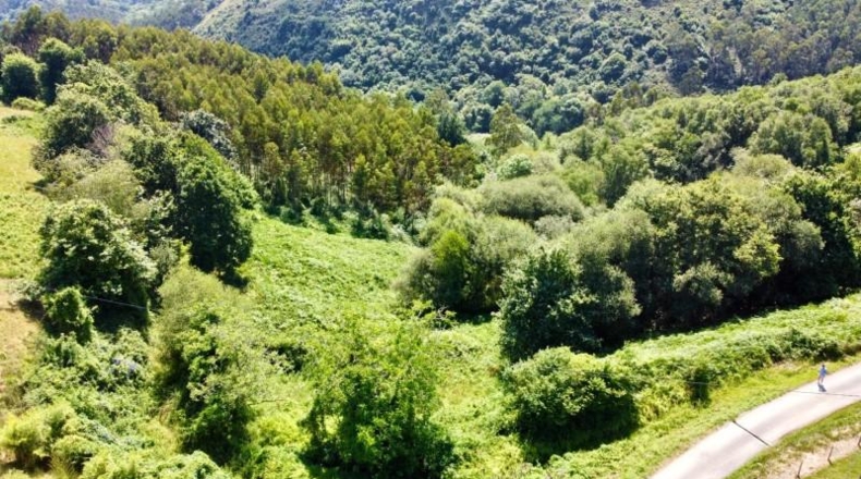 Asturias - Ribadesella - 26000m2