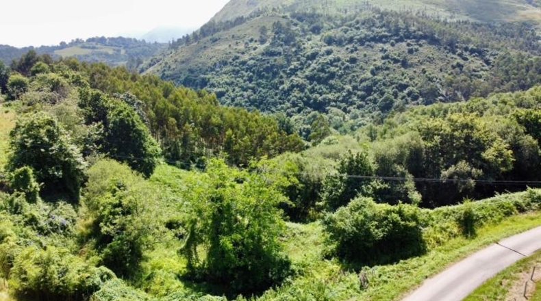 Asturias - Ribadesella - 26000m2