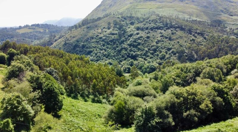 Asturias - Ribadesella - 26000m2