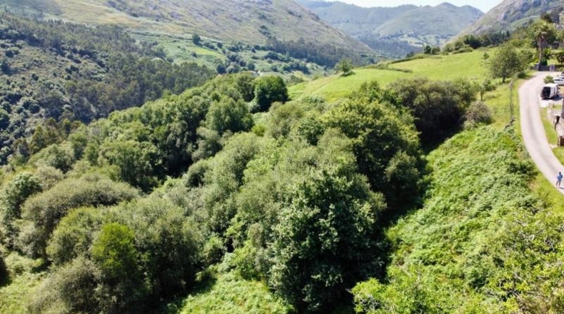 Asturias - Ribadesella - 26000m2