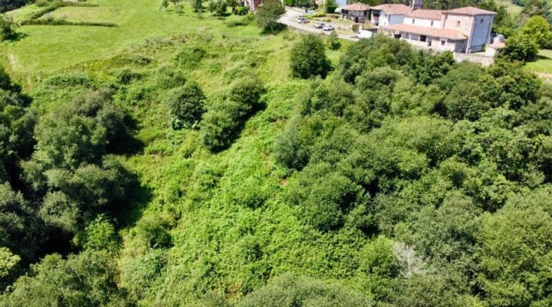 Asturias - Ribadesella - 26000m2