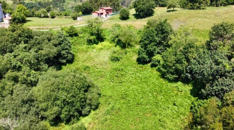 Asturias - Ribadesella - 26000m2