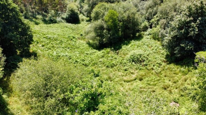 Asturias - Ribadesella - 26000m2