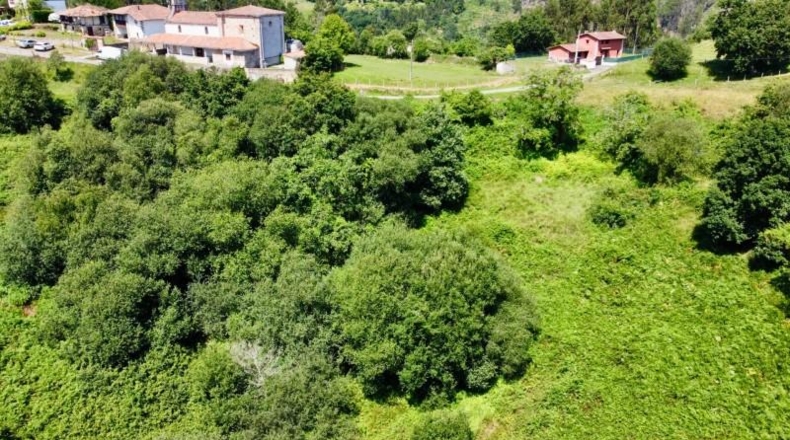 Asturias - Ribadesella - 26000m2