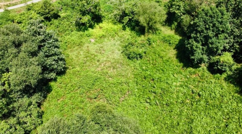 Asturias - Ribadesella - 26000m2