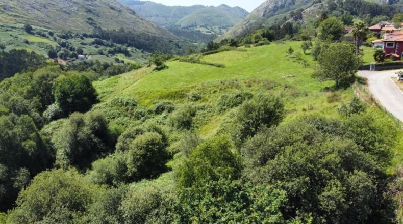 Asturias - Ribadesella - 26000m2