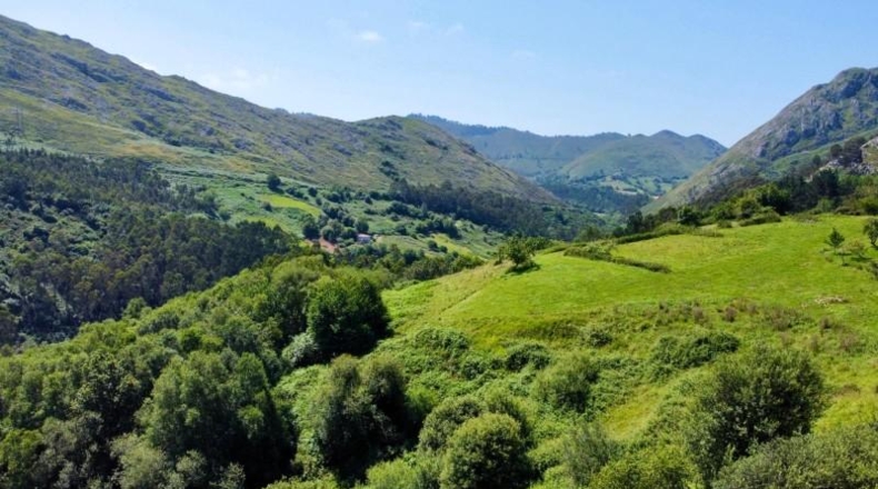 Asturias - Ribadesella - 26000m2