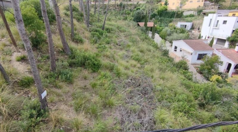 Barcelona - Olivella - 1392m2