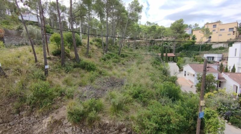Barcelona - Olivella - 1392m2