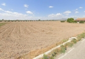 Земля на продажу у города Lorca Фото