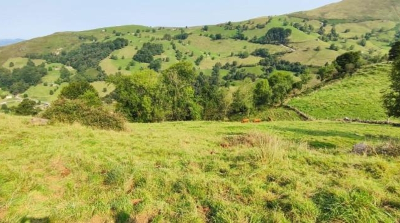 Cantabria - Selaya - 7072m2