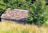 Finca rústica en venda a la España, Miera, ref.: TR329876 foto