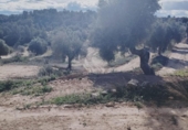 Xalet independent amb terreny en venda a la España, Calaceit, ref.: TR344621 foto
