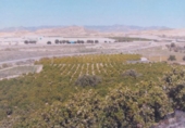 Land suitable for development for sale on España, Antas, ref: TR341472 photo