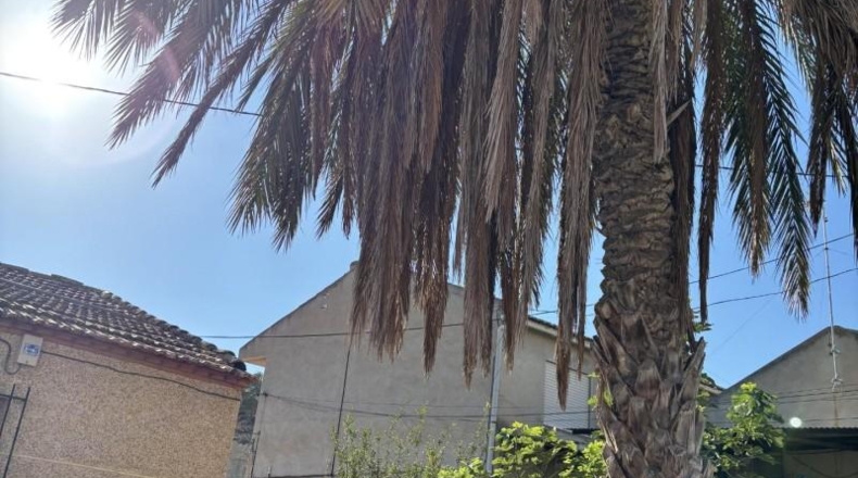 Murcia - Murcia - 250m2