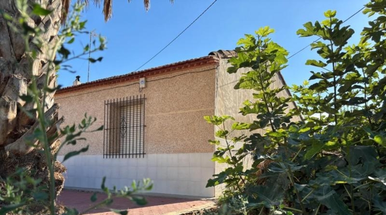 Murcia - Murcia - 250m2
