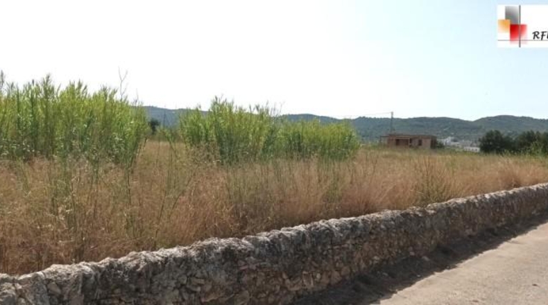 Castellón - Torreblanca - 6966m2