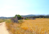Non-developable land for sale on España, Sa Pobla, ref: TR308628 photo
