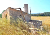 Non-developable land for sale on España, Sa Pobla, ref: TR308628 photo