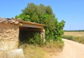 Non-developable land for sale on España, Sa Pobla, ref: TR308628 photo