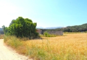 Non-developable land for sale on España, Sa Pobla, ref: TR308628 photo
