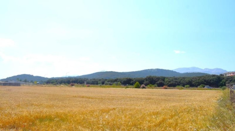 Valencia - la Pobla Llarga - 6295m2