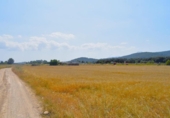 Non-developable land for sale on España, Sa Pobla, ref: TR308628 photo