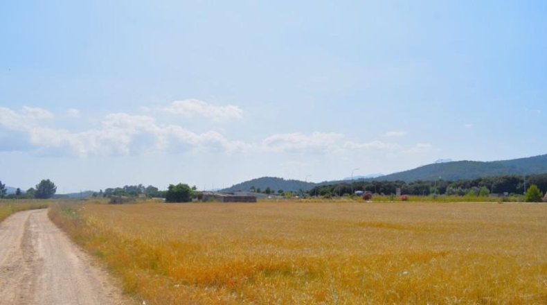 Valencia - la Pobla Llarga - 6295m2