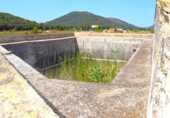 Non-developable land for sale on España, Sa Pobla, ref: TR308628 photo