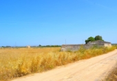 Non-developable land for sale on España, Sa Pobla, ref: TR308628 photo