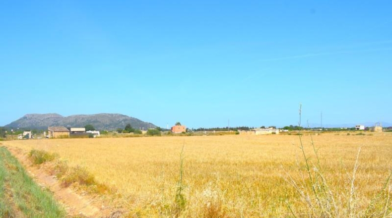 Valencia - la Pobla Llarga - 6295m2