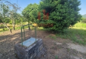 Parcel·la urbanitzable en venda a la España, Ourense, ref.: TR311024 foto