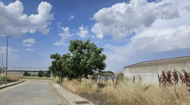 Salamanca - Sanchoviejo - 475m2