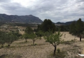 Terreny no urbanitzable en venda a la España, Tibi, ref.: TR112853 foto