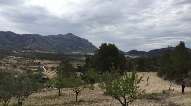 Alicante - Tibi - 23417m2