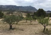 Terreny no urbanitzable en venda a la España, Tibi, ref.: TR112853 foto