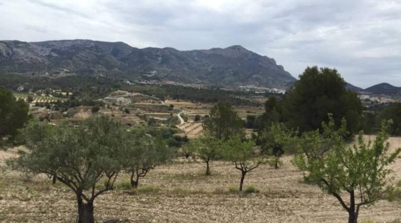 Alicante - Tibi - 23417m2
