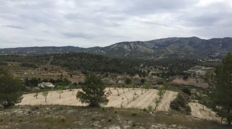 Alicante - Tibi - 23417m2